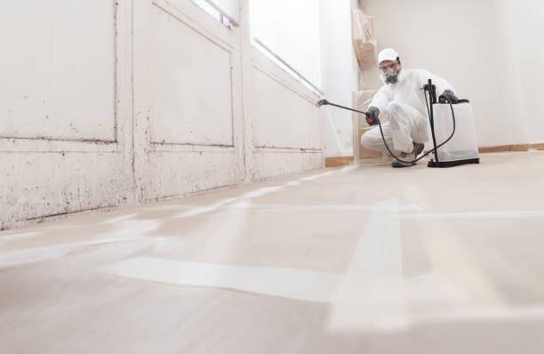 24/7 Emergency Mold Remediation experts in Manchester, WA