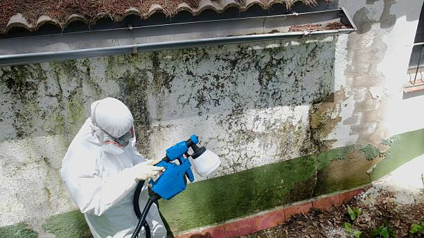 Top rated local Mold Remediation specialists in Manchester, WA